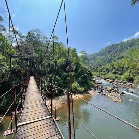 Rainforest River Bay دينيايا المظهر الخارجي الصورة