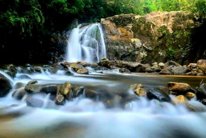 Rainforest River Bay دينيايا المظهر الخارجي الصورة