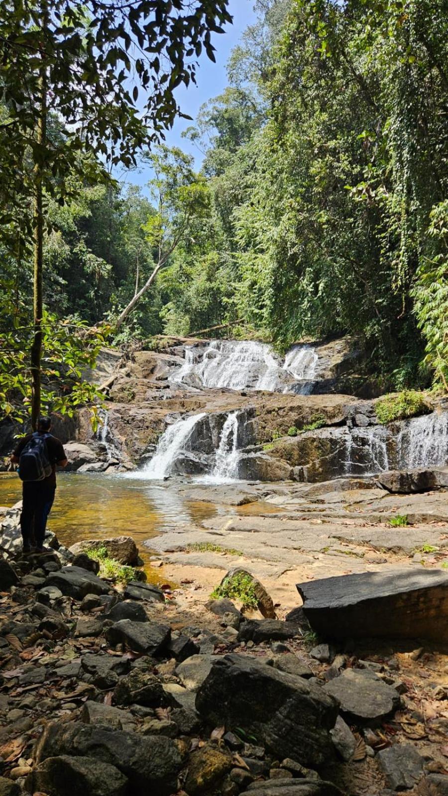 Rainforest River Bay دينيايا المظهر الخارجي الصورة