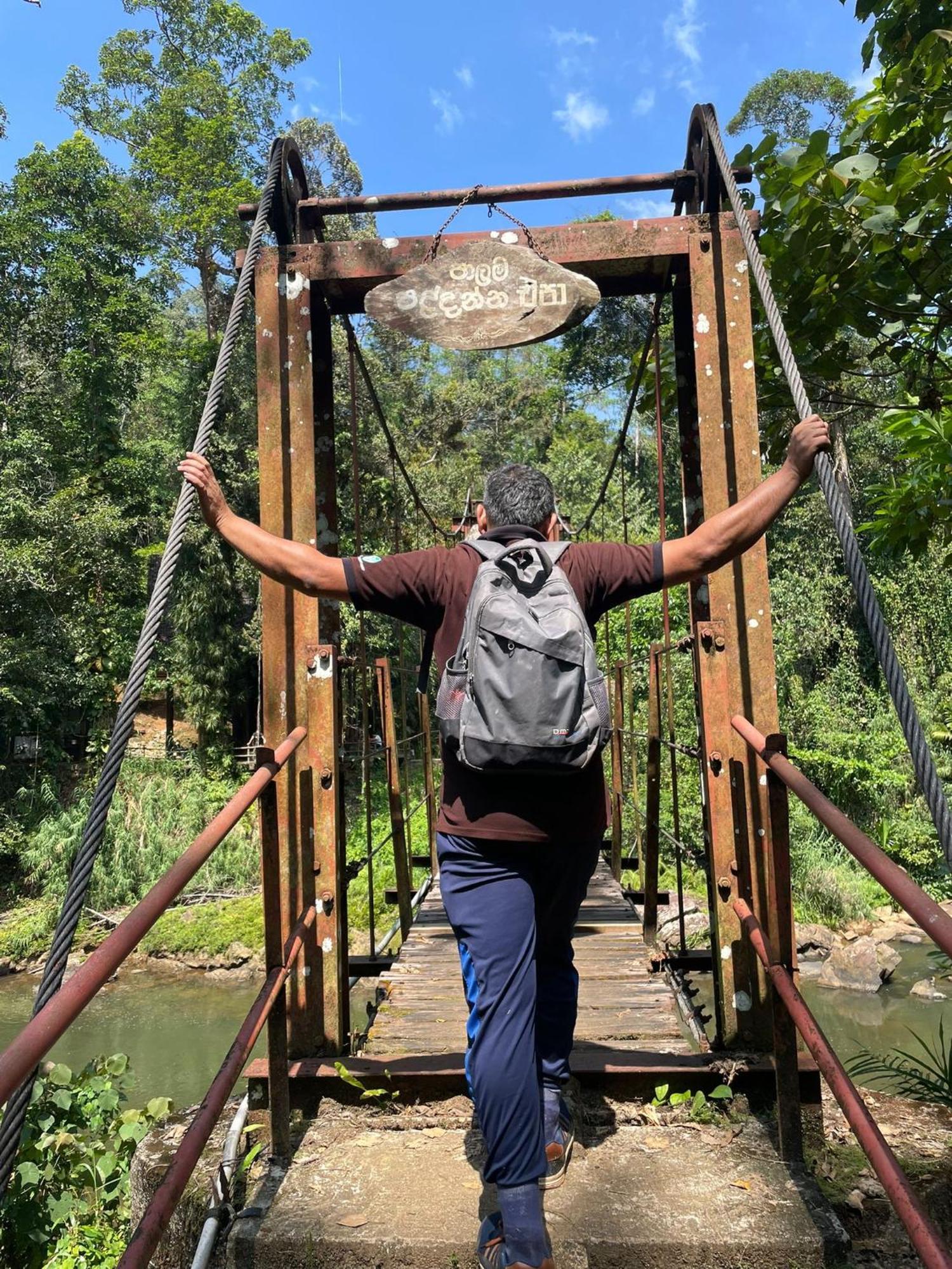 Rainforest River Bay دينيايا المظهر الخارجي الصورة