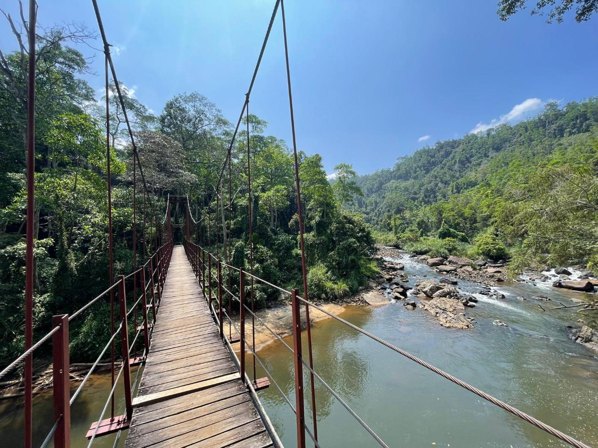 Rainforest River Bay دينيايا المظهر الخارجي الصورة